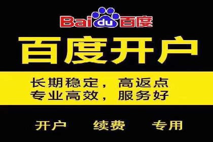 揭秘sem竞价代运营的成功要素及案例